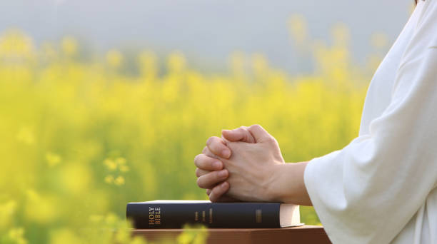 Hands folded in prayer resting on a Holy Bible, a field of yellow flowers behind
